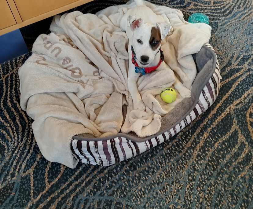 $300, Share-house, 3 bathrooms, Port Melbourne VIC 3207