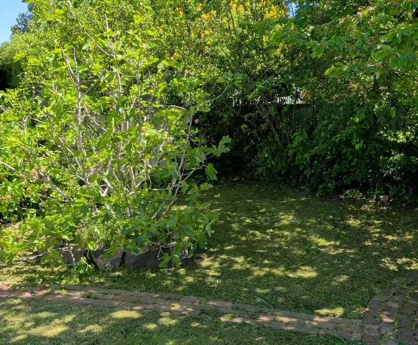 $185, Share-house, 3 bathrooms, Orange NSW 2800