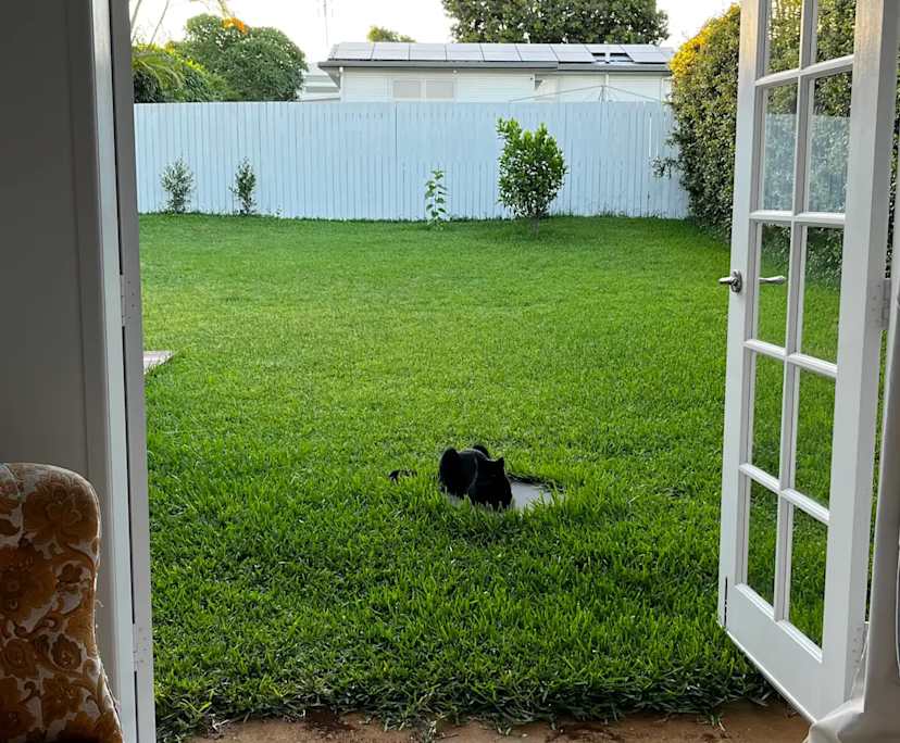 $600, Share-house, 3 bathrooms, Buderim QLD 4556