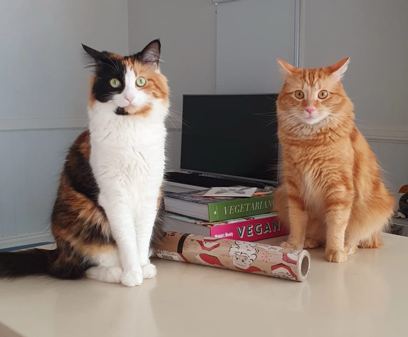 $320, Share-house, 3 bathrooms, Red Hill QLD 4059