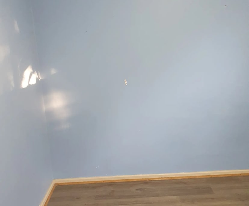 Whole property with 3 rooms for rent