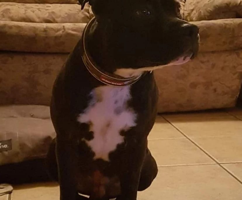 $250, Flatshare, 3 bathrooms, Calamvale QLD 4116