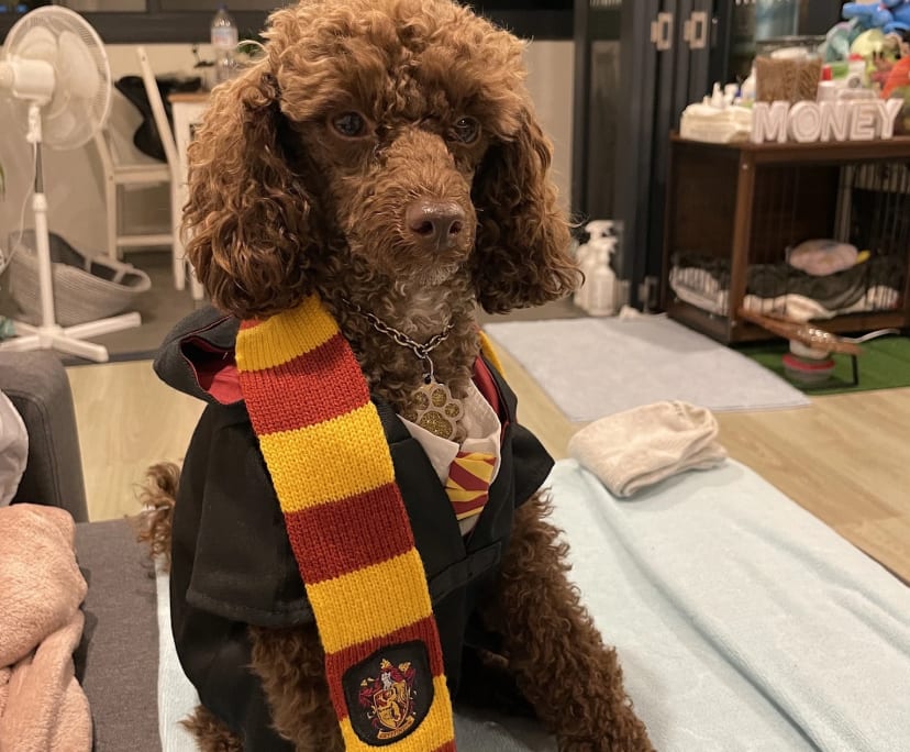 $360, Flatshare, 2 bathrooms, Fortitude Valley QLD 4006