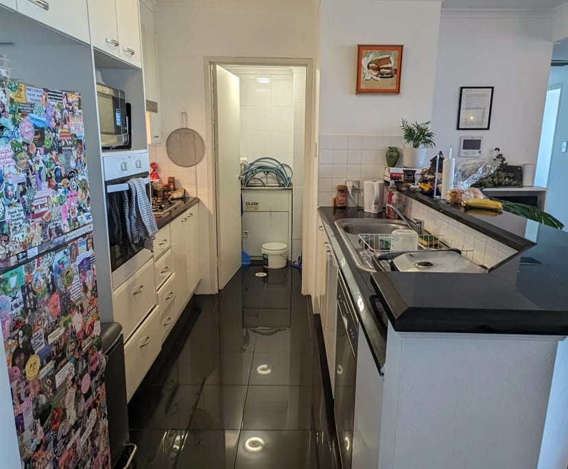 $500, Flatshare, 2 bathrooms, Sydney NSW 2000