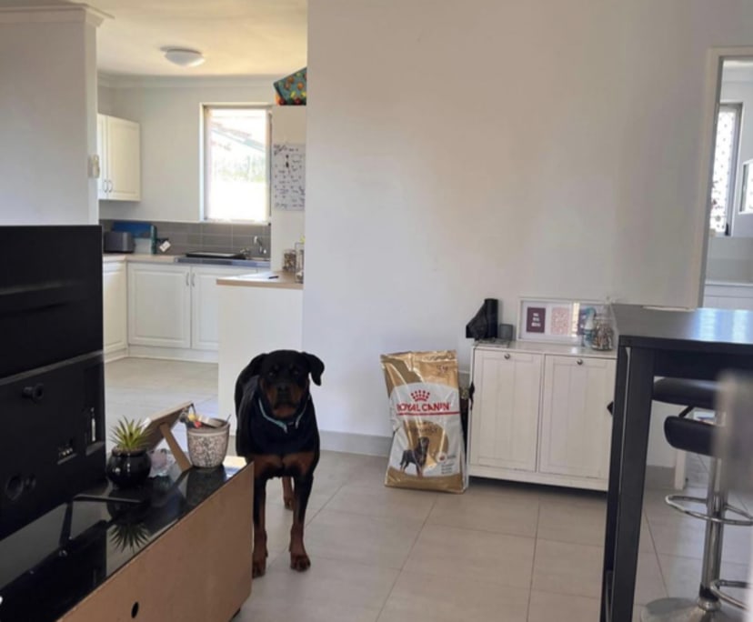 Unfurnished room in a share house