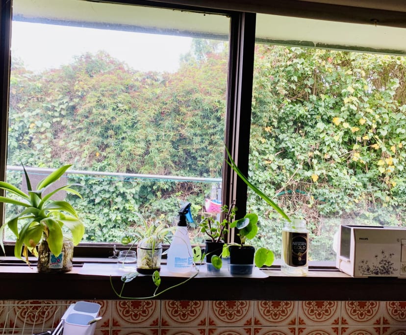 $260, Flatshare, 2 bathrooms, Box Hill VIC 3128