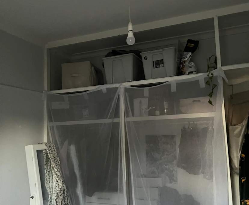 $160, Share-house, 3 bathrooms, Belmont VIC 3216