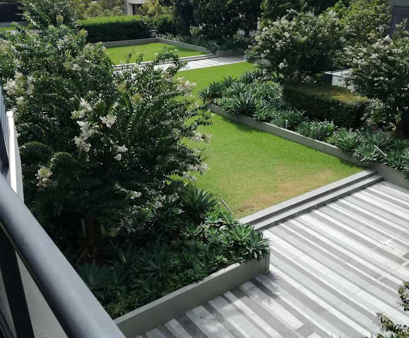 $310, Flatshare, 2 bathrooms, Waterloo NSW 2017