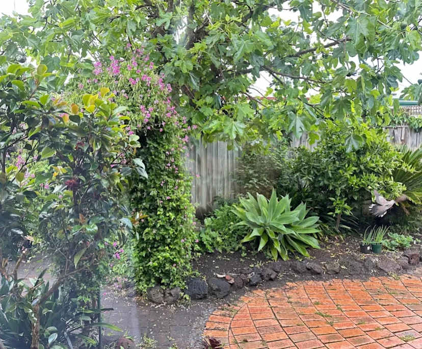 $230, Share-house, 2 bathrooms, Geelong West VIC 3218