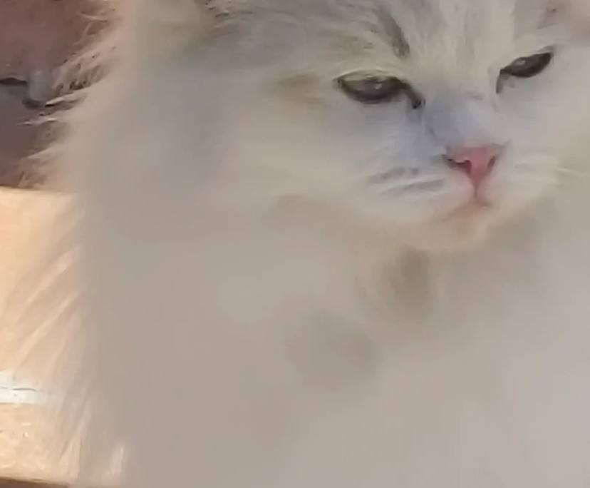 $230, Share-house, 3 bathrooms, Seaford VIC 3198