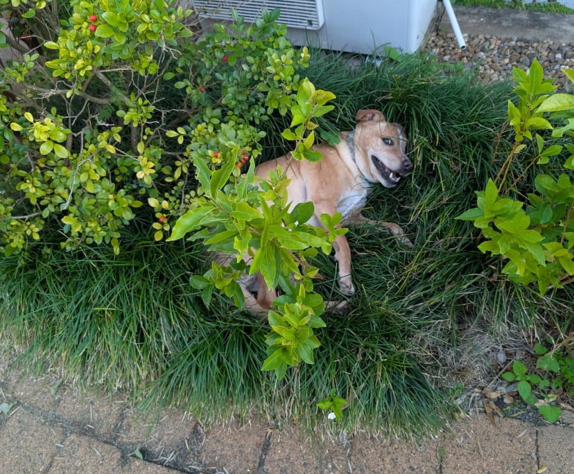 $216, Share-house, 3 bathrooms, Wynnum QLD 4178