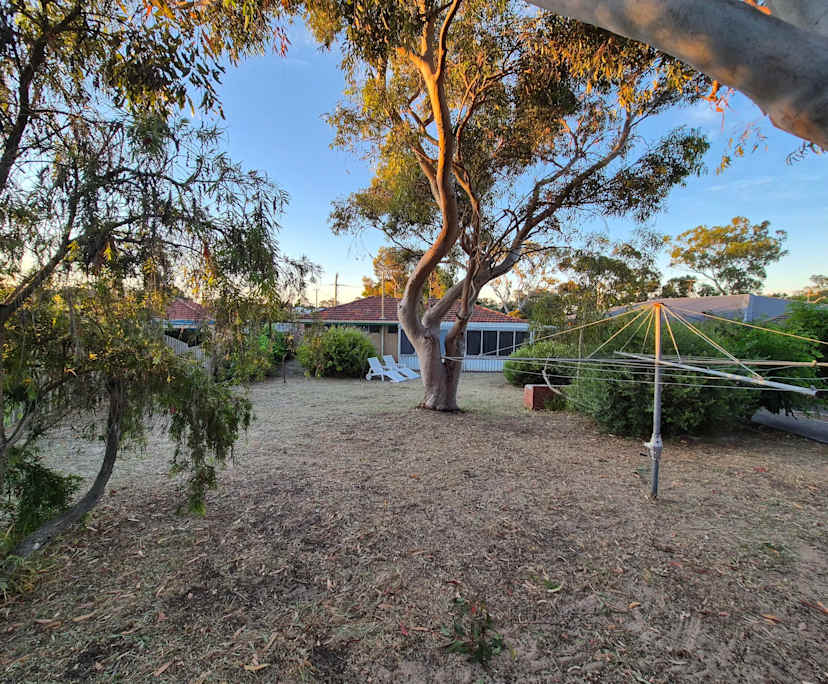 $350, Share-house, 3 bathrooms, Craigie WA 6025