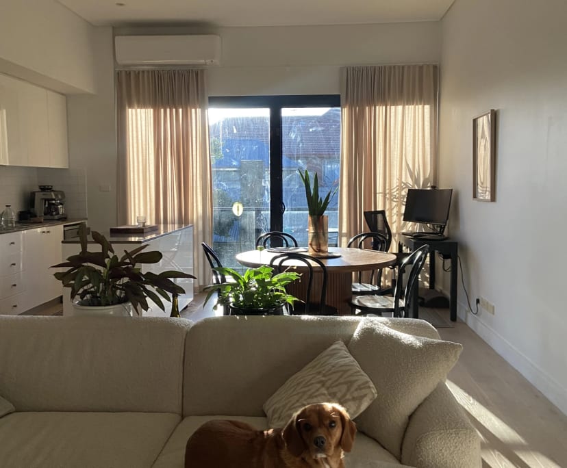 Whole property with 2 rooms for rent