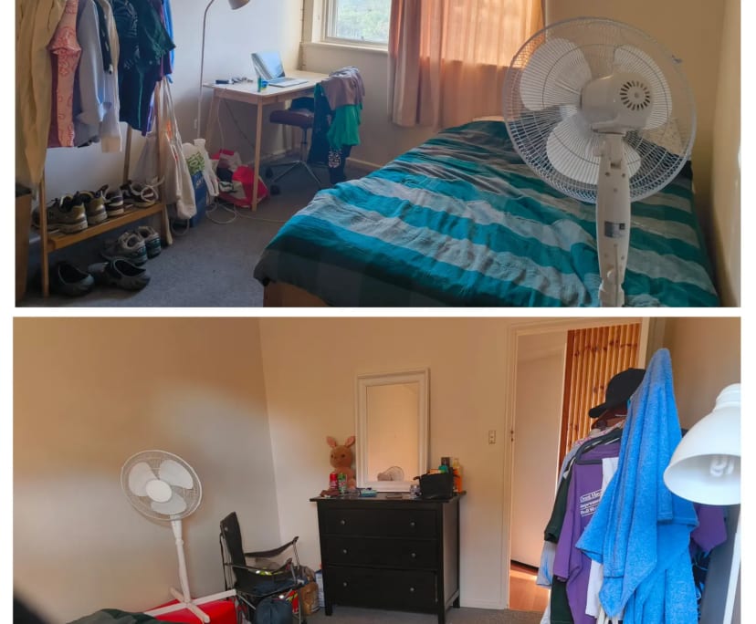 Room in a share house