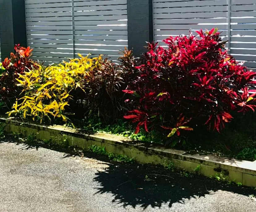 $230-699, Share-house, 3 rooms, Cairns City QLD 4870, Cairns City QLD 4870