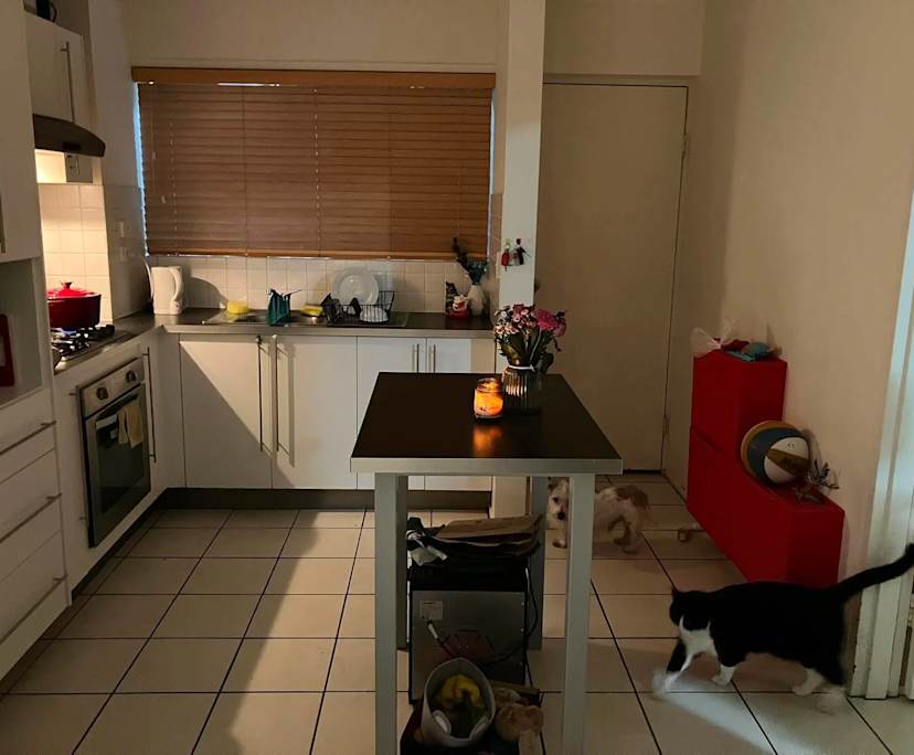 One bed flat for rent