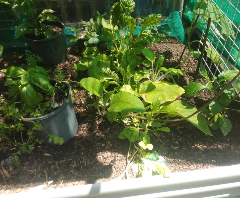 $315, Flatshare, 2 bathrooms, Sunrise Beach QLD 4567