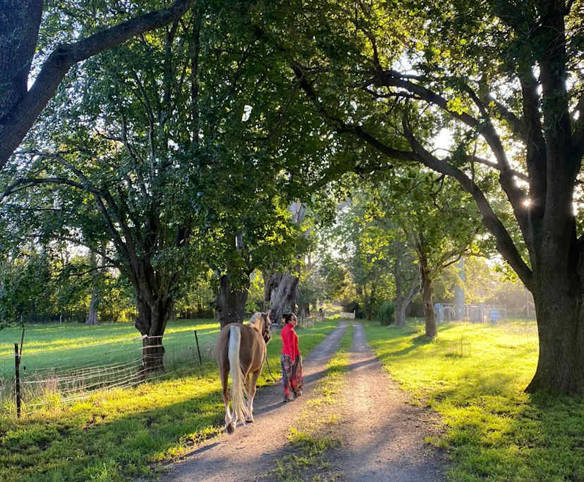 $375, Share-house, 4 bathrooms, Exeter NSW 2579