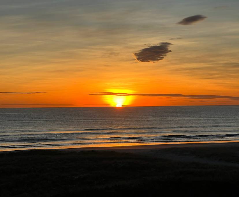 $450, Share-house, 3 bathrooms, Bilinga QLD 4225