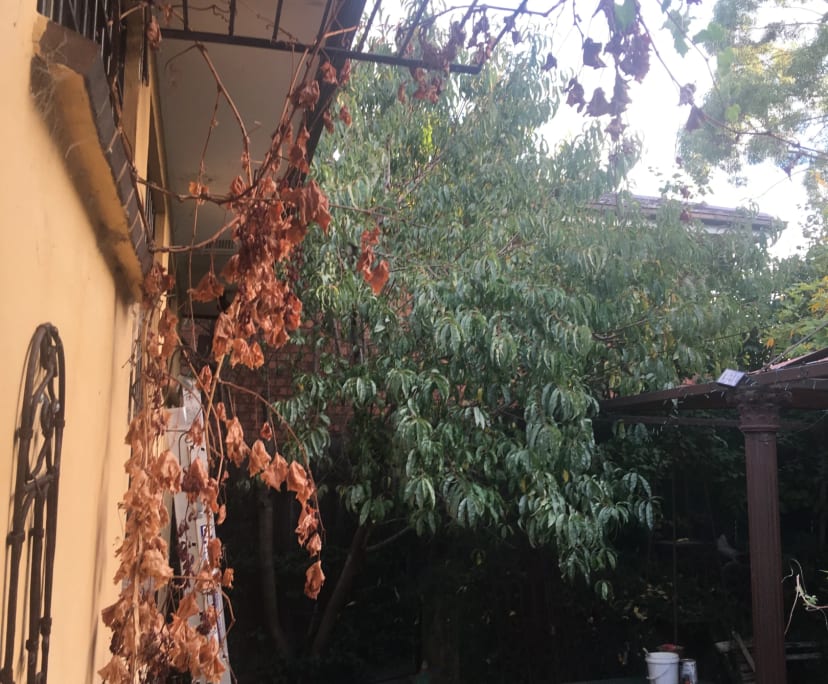 $300, Share-house, 5 bathrooms, Malvern East VIC 3145