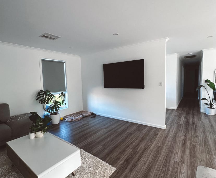 Room for Rent in Mount Gambier, SA 250, Furnished...