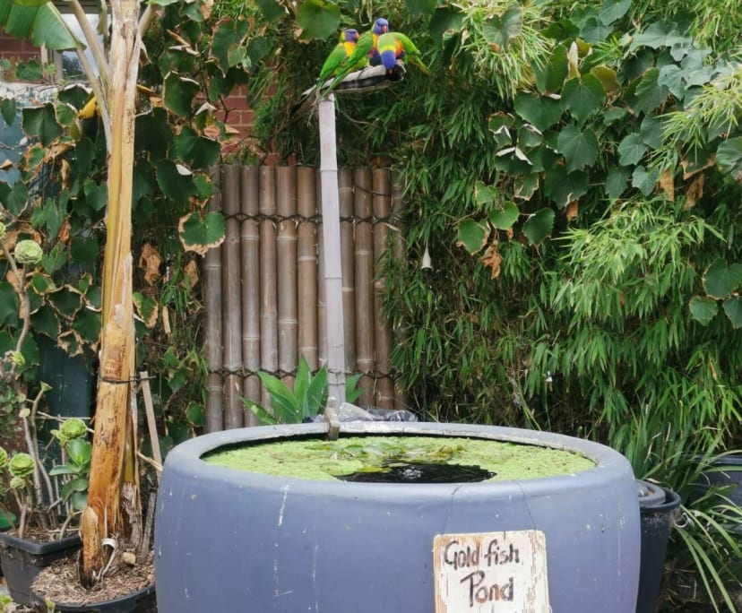 $225-285, Share-house, 2 rooms, Footscray VIC 3011, Footscray VIC 3011