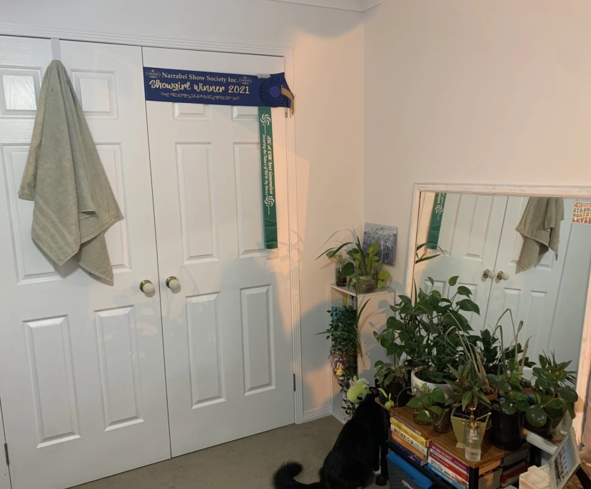 $220, Share-house, 4 bathrooms, Pacific Pines QLD 4211