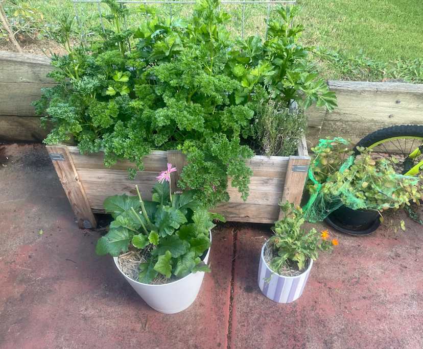 $138, Share-house, 4 bathrooms, Black Hill VIC 3350