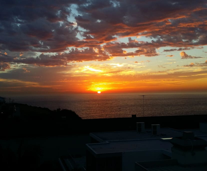 $420, Flatshare, 2 bathrooms, Vaucluse NSW 2030