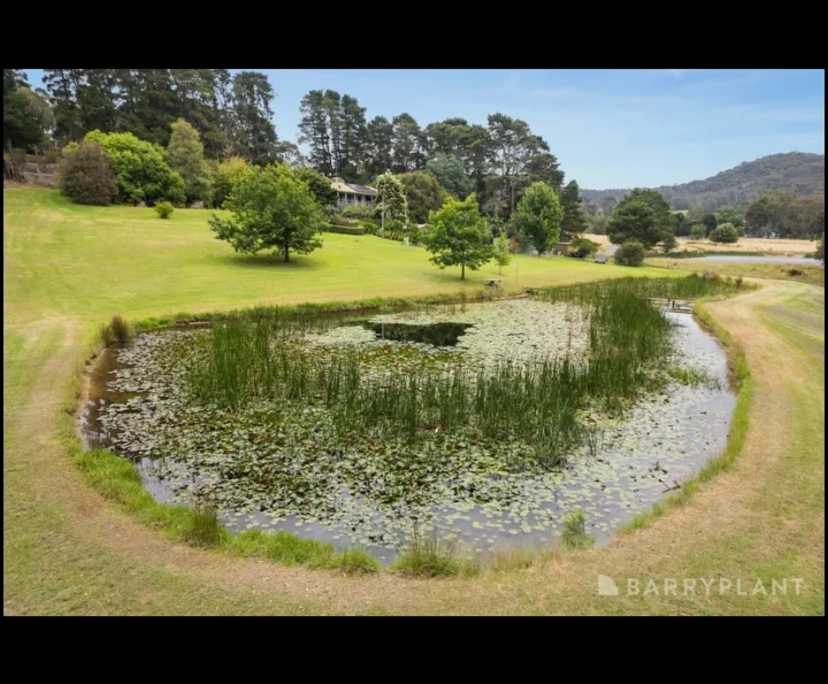 $250, Share-house, 3 bathrooms, Yarra Glen VIC 3775