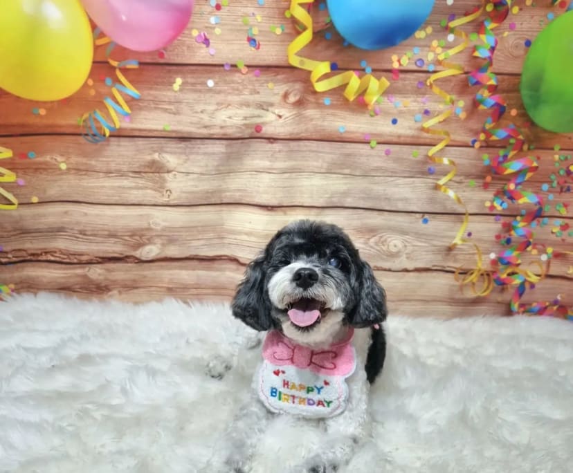 $275, Share-house, 2 bathrooms, Glenroy VIC 3046