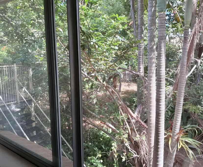 $250, Share-house, 3 bathrooms, Loganlea QLD 4131