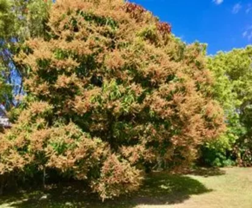 propertyImage