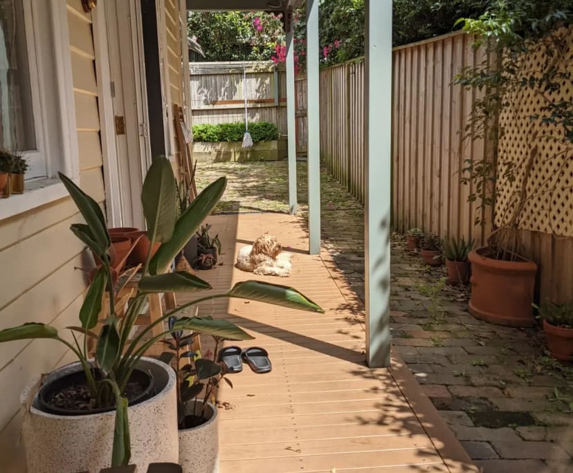 $275, Share-house, 3 bathrooms, Annandale NSW 2038