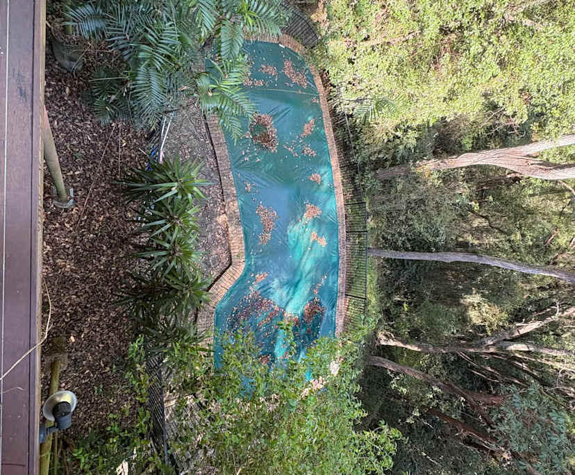 $365, Share-house, 2 bathrooms, Indooroopilly QLD 4068