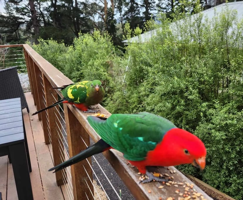 $350, Share-house, 4 bathrooms, Kallista VIC 3791