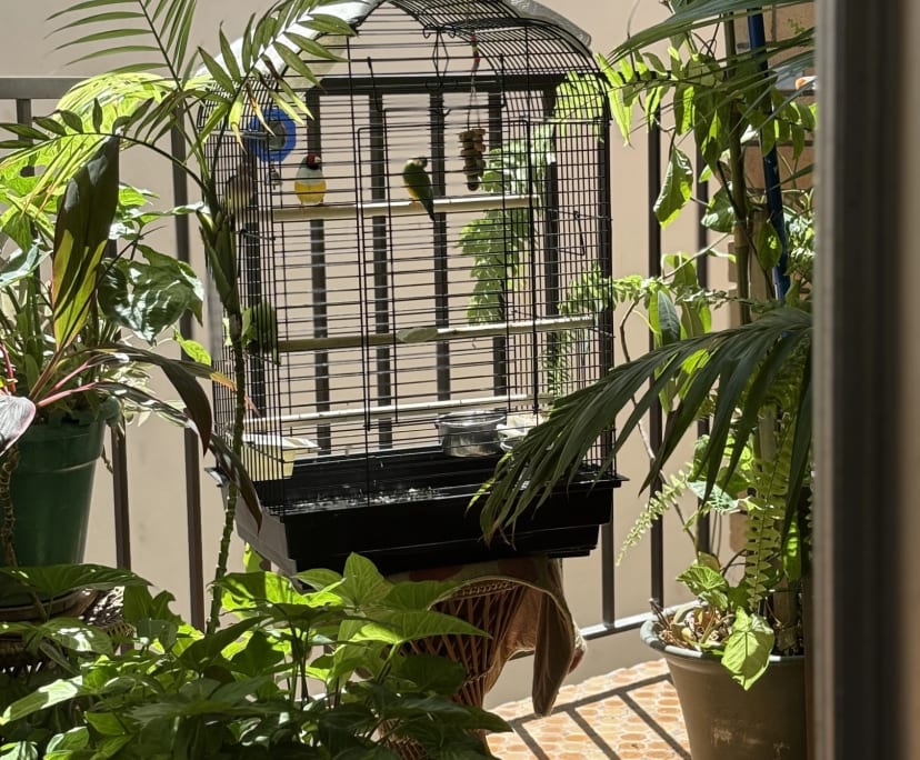 $300, Student-accommodation, 2 bathrooms, Surfers Paradise QLD 4217