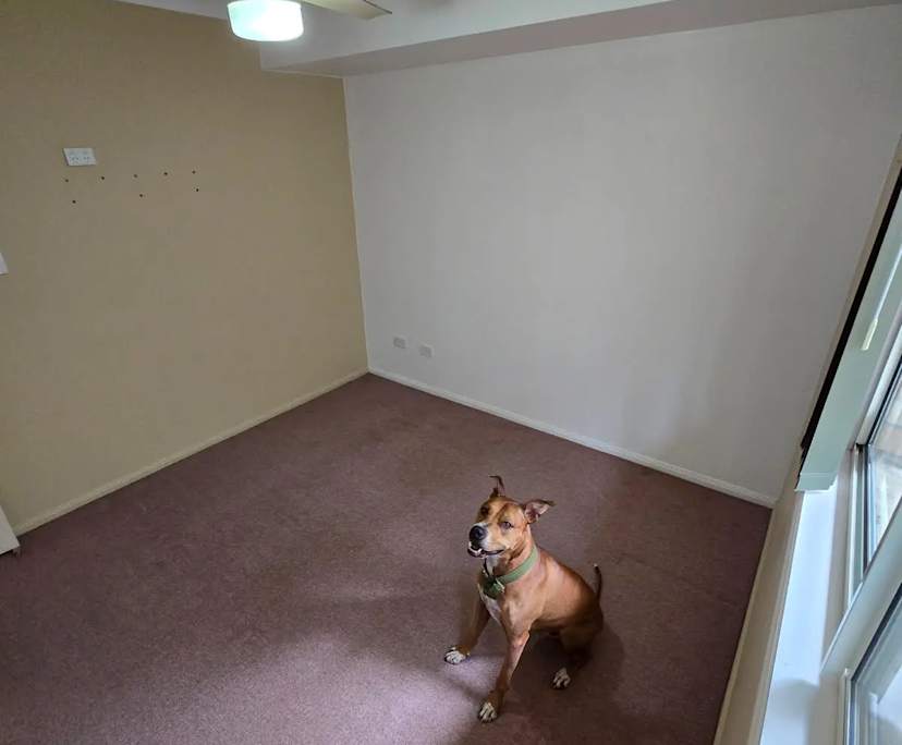 $280, Share-house, 4 bathrooms, Oxenford QLD 4210