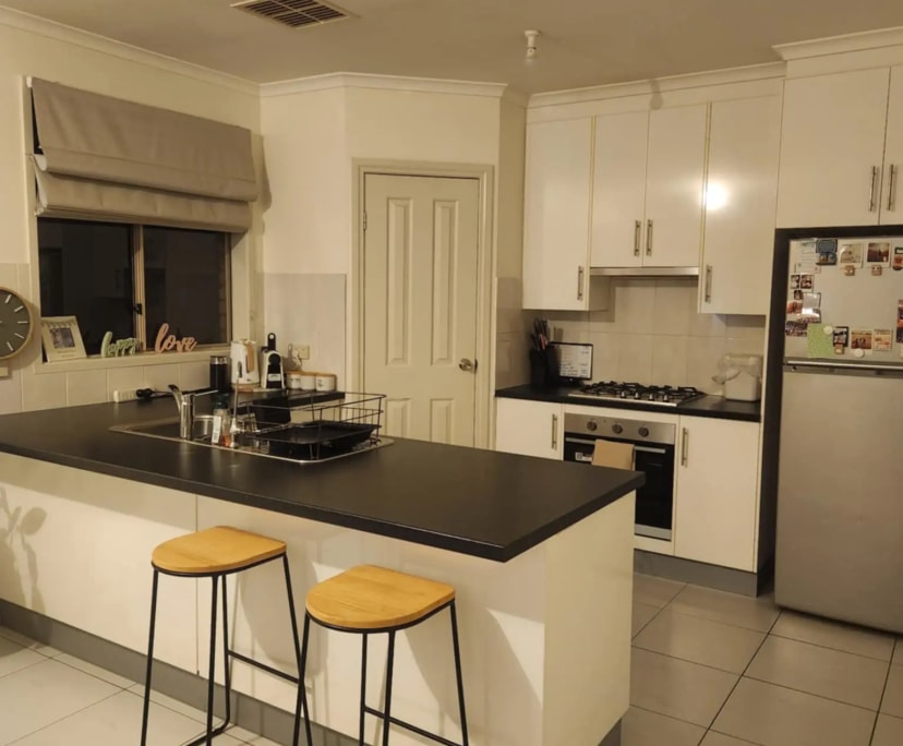 $350, Share-house, 3 bathrooms, Camden Park SA 5038