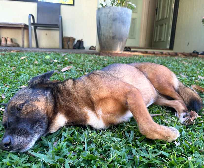 $240, Share-house, 3 bathrooms, Redlynch QLD 4870