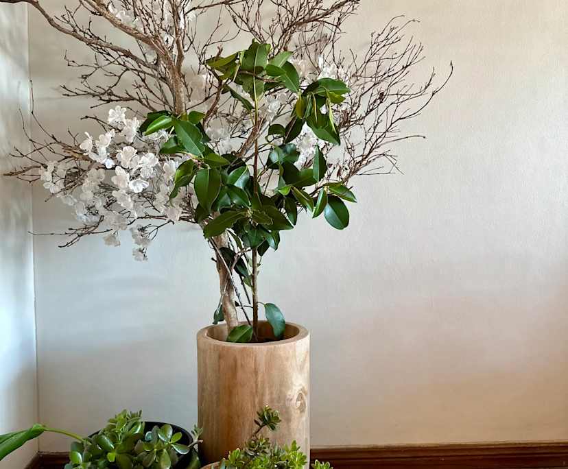 $599, Whole-property, 2 bathrooms, Bayview NSW 2104