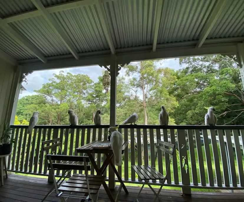$305, Share-house, 4 bathrooms, Tallebudgera Valley QLD 4228