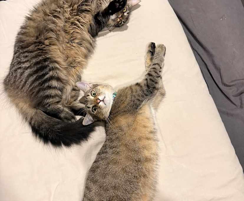 Room with own bathroom