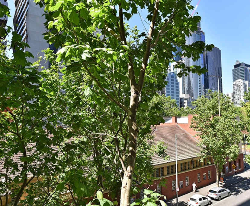 $1,050, Whole-property, 2 bathrooms, West Melbourne VIC 3000