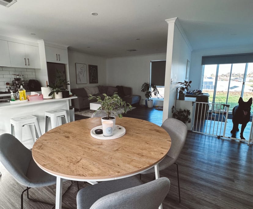 Room for Rent in Mount Gambier, SA 250, Furnished...