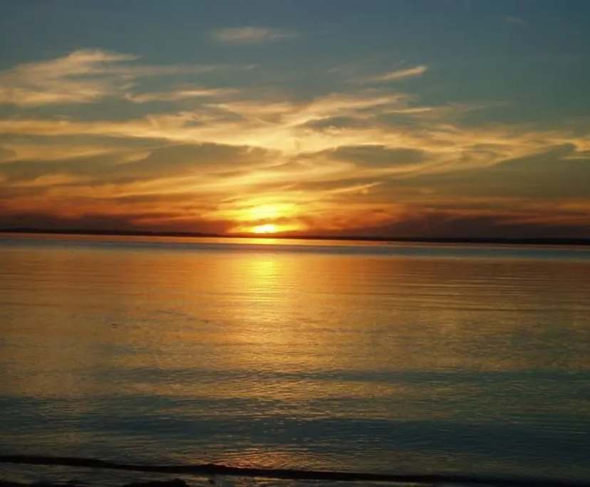 $450, Flatshare, 2 rooms, Chelsea VIC 3196, Chelsea VIC 3196