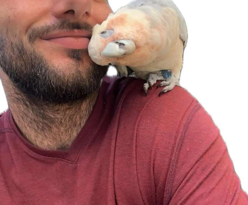 $275, Share-house, 4 bathrooms, Shalvey NSW 2770