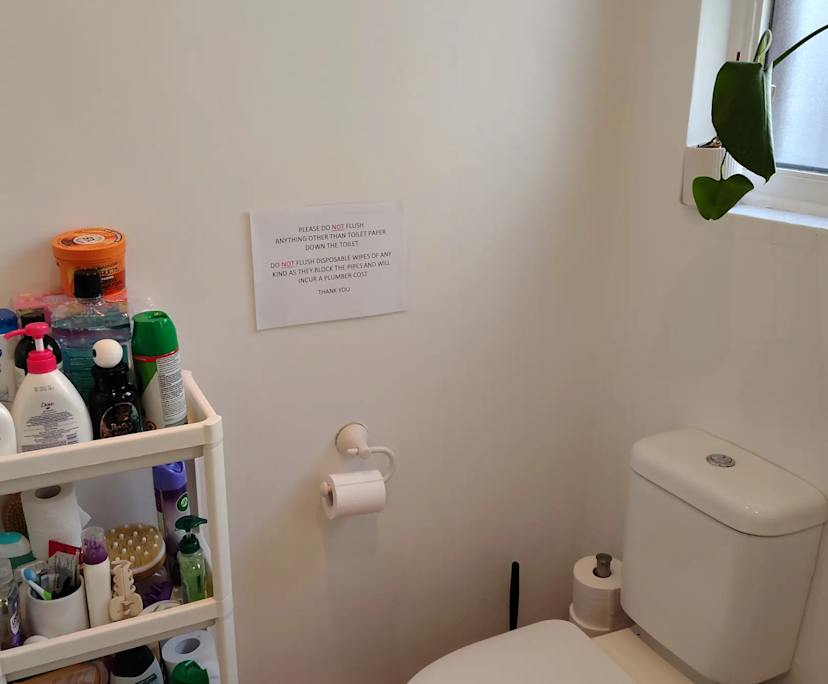 $375, Share-house, 4 bathrooms, Glebe NSW 2037