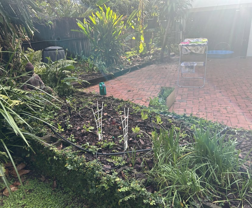 $270, Share-house, 6 bathrooms, Whitfield QLD 4870