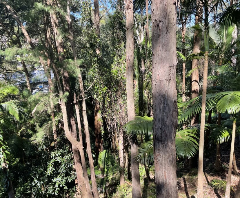 $300, Share-house, 2 rooms, Wyoming NSW 2250, Wyoming NSW 2250